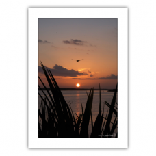 Fotodruck DIN A3 | Sonnenuntergang